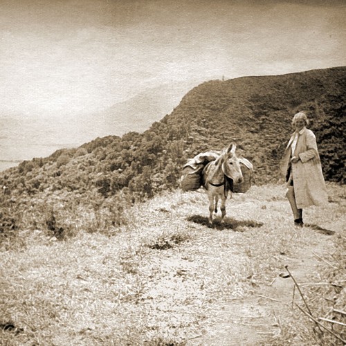 Katherine Allfrey mit Esel Maruli in Neuseeland