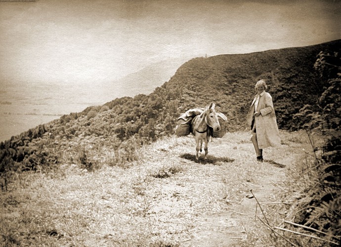 Allfrey mit Esel in Neuseeland