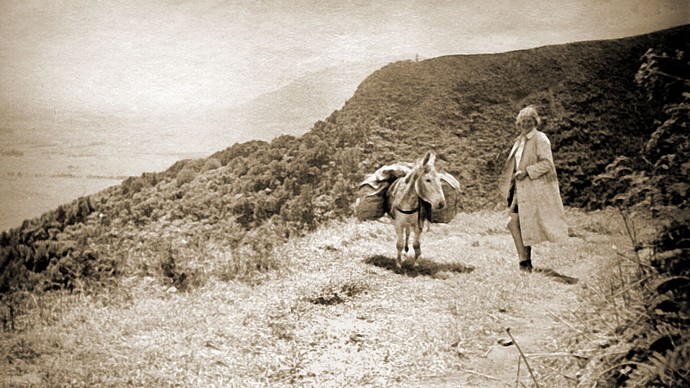 Allfrey und Eselin Maruli in Neuseeland